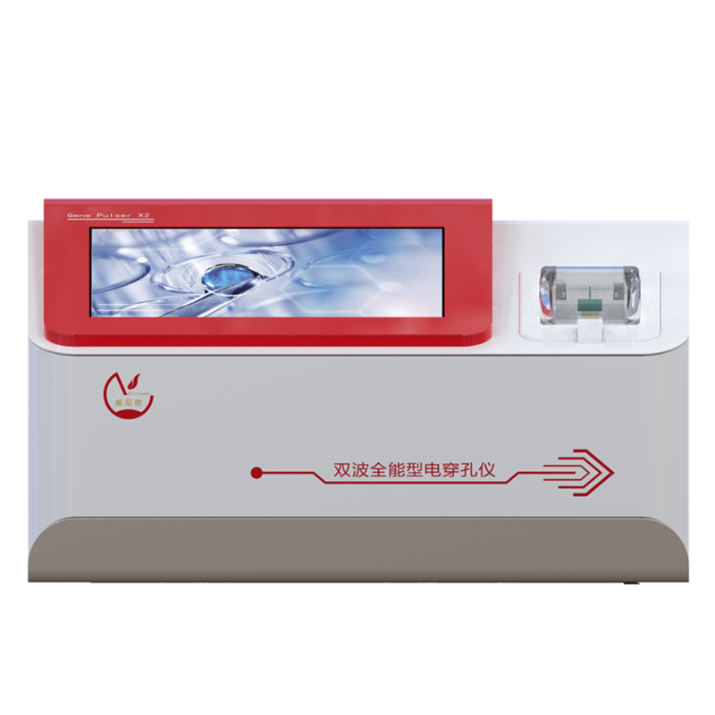 电转染效率影响因素的探讨